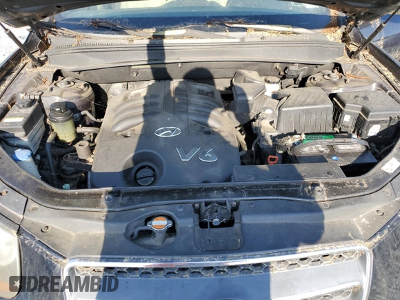 2007 Hyundai Santa Fe SE with VIN 5NMSH73E37H116921, listed as a Copart auction lot 57520005 with 79,029 mi miles and Clean title. Bid and sale history available at DreamBid. Image 12.