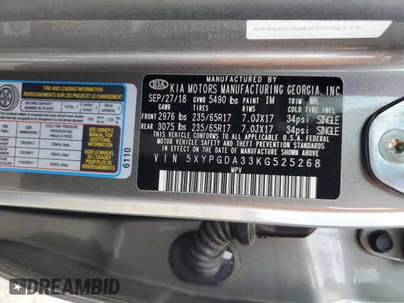 2019 Kia Sorento LX with VIN 5XYPGDA33KG525268, listed as a Copart auction lot 49307155 with 110,945 mi miles and Salvage Title. Bid and sale history available at carsss.com. Image 13.