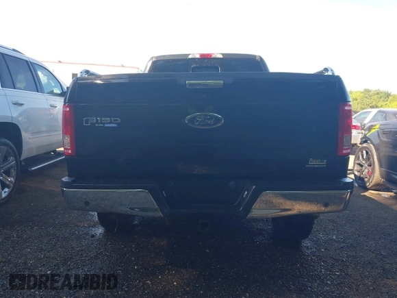2015 Ford F-150 XLT z VIN 1FTFX1EF6FFC36781, wystawiony jako IAAI lot #42298786 z przebiegiem 86 965 mil mil oraz . Historia ofert i sprzedaży dostępna na DreamBid. Obrazek 16.