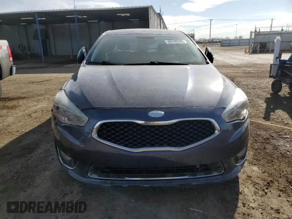 2014 Kia Cadenza Premium with VIN KNALN4D7XE5145311, listed as a Copart auction lot 48396535 with 193,301 mi miles and Salvage Title. Bid and sale history available at carsss.com. Image 5.
