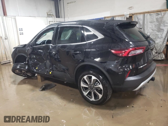 2024 Ford Escape Platinum with VIN 1FMCU9JA4RUA16930, listed as a Copart auction lot 86902194 with 8,810 mi miles and Salvage Title. Bid and sale history available at DreamBid. Image 2.
