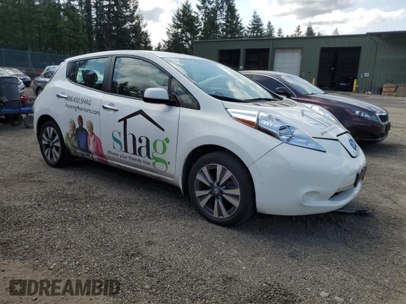 2016 Nissan LEAF S with VIN 1N4BZ0CP3GC307667, listed as a Copart auction lot 54147633 with 18,907 mi miles. Bid and sale history available at carsss.com. Image 4.