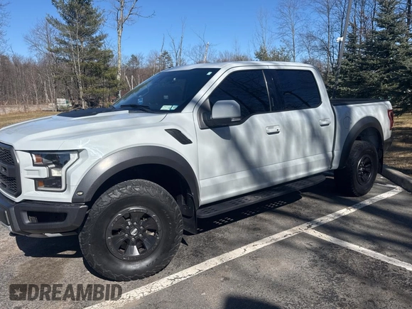 2017 Ford F-150 Raptor with VIN 1FTFW1RG2HFC90216, listed as a Copart auction lot 51147515 with 84,988 mi miles and Clean Title. Bid and sale history available at carsss.com. Image 2.