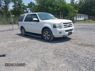 2010 Ford Expedition Limited с VIN 1FMJU1K57AEA07048, выставлен на аукционе IAAI как лот 42590731 с пробегом Не указан миль и . История ставок и продаж доступна на DreamBid. Изображение 1.