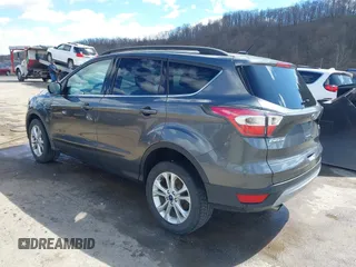 2017 Ford Escape SE with VIN 1FMCU9GDXHUA10453, listed as a IAAI auction lot 41860507 with 175,733 mi miles and . Bid and sale history available at DreamBid. Image 3.