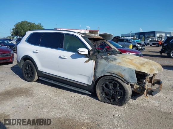 2021 Kia Telluride EX with VIN 5XYP3DHC4MG164072, listed as a IAAI auction lot 39796981 with Not Provided miles and . Bid and sale history available at DreamBid. Image 1.