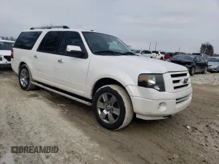 2010 Ford Expedition Max Limited with VIN 1FMJK2A57AEA38393, listed as a Copart auction lot 46665295 with 133,024 mi miles and Salvage title. Bid and sale history available at DreamBid. Image 4.