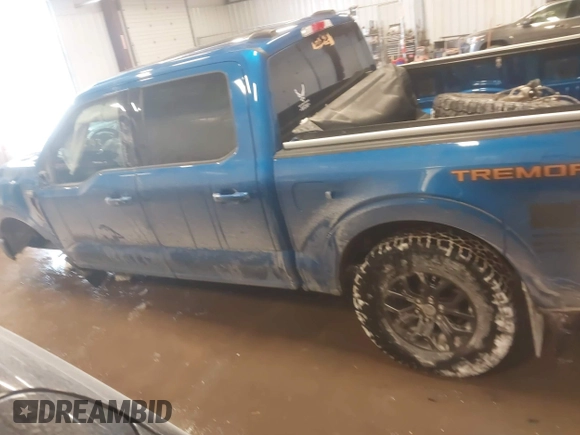 2021 Ford F-150 XL with VIN 1FTEW1E84MFC16395, listed as a IAAI auction lot 41606743 with 81,425 mi miles. Bid and sale history available at carsss.com. Image 15.