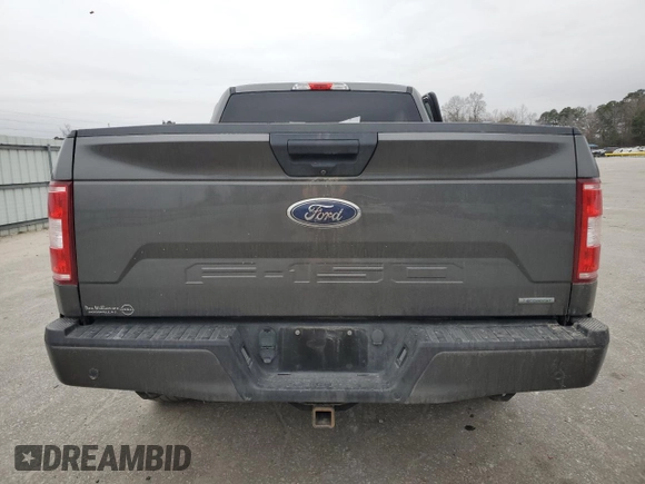 2019 Ford F-150 XL with VIN 1FTEX1CP9KKC18168, listed as a Copart auction lot 43907045 with 28,450 mi miles and Salvage title. Bid and sale history available at DreamBid. Image 6.