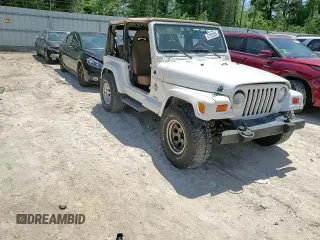 2001 Jeep Wrangler Sahara with VIN 1J4FA59S81P321490, listed as a Copart auction lot 57320005 with 180,959 mi miles and Salvage title. Bid and sale history available at DreamBid. Image 13.