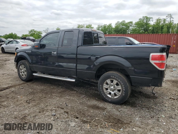 2010 Ford F-150 XL with VIN 1FTEX1E8XAFB69365, listed as a Copart auction lot 59037645 with 137,065 mi miles and Salvage title. Bid and sale history available at DreamBid. Image 2.