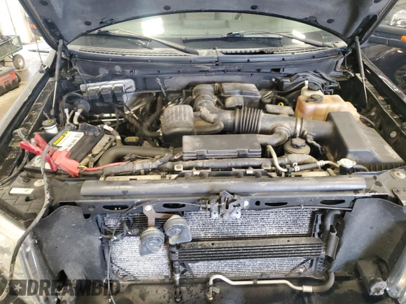 2010 Ford F-150 XL с VIN 1FTFX1EV0AFC60901, выставлен на аукционе Copart как лот 58361245 с пробегом 170 220 миль миль и На запчасти • Non repairable. История ставок и продаж доступна на DreamBid. Изображение 11.