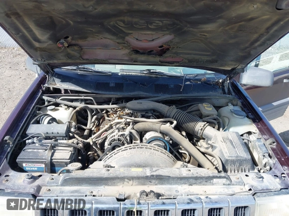 1994 Jeep Grand Cherokee Laredo with VIN 1J4GZ58Y2RC112641, listed as a IAAI auction lot 42212705 with 160,762 mi miles and . Bid and sale history available at DreamBid. Image 10.