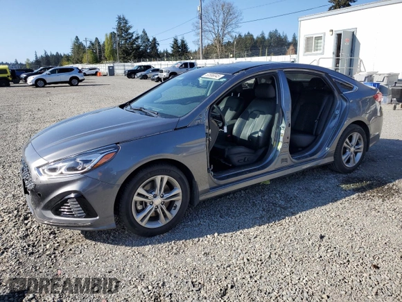 2019 Hyundai Sonata SEL with VIN 5NPE34AF5KH808518, listed as a Copart auction lot 53586045 with 91,307 mi miles and Salvage Title. Bid and sale history available at DreamBid. Image 1.