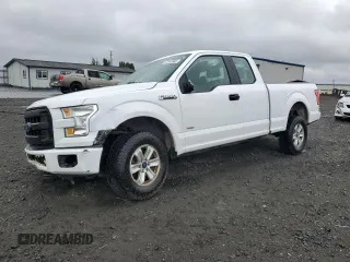 2016 Ford F-150 XLT z VIN 1FTEX1EP0GKE17873, wystawiony jako Copart lot #57245885 z przebiegiem 133 856 mil mil oraz Szkoda całkowita • Salvage title. Historia ofert i sprzedaży dostępna na DreamBid. Obrazek 1.