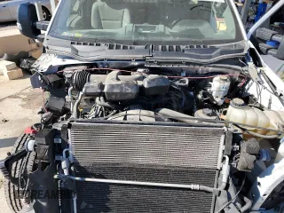 2019 Ford Super Duty F-250 SRW XL with VIN 1FTBF2A63KED22241, listed as a Copart auction lot 81580894 with Not Provided miles and Salvage Title. Bid and sale history available at carsss.com. Image 11.