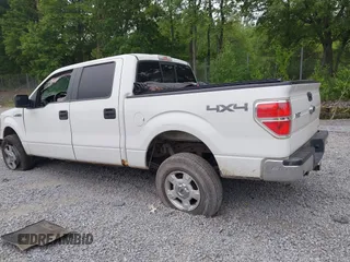 2014 Ford F-150 XL with VIN 1FTFW1EF3EFC43480, listed as a IAAI auction lot 42582431 with 134,382 mi miles and . Bid and sale history available at DreamBid. Image 3.