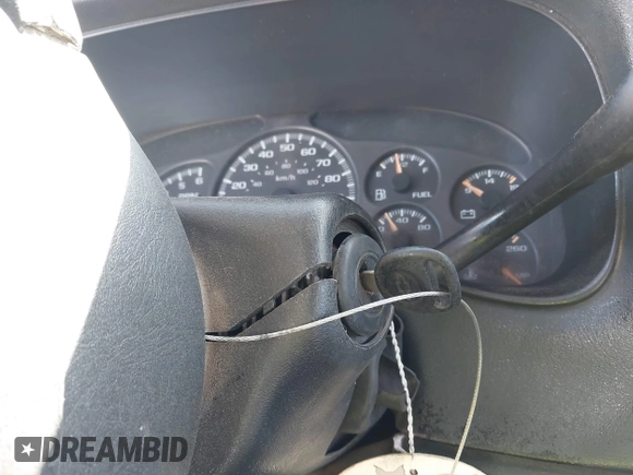2002 Chevrolet Silverado 1500 LS with VIN 1GCEK19T02Z290774, listed as a IAAI auction lot 42146147 with Not Provided miles and . Bid and sale history available at DreamBid. Image 11.