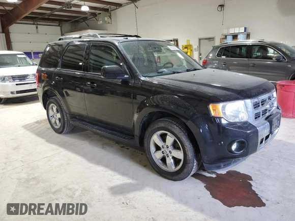 2011 Ford Escape Limited with VIN 1FMCU9EG7BKA53387, listed as a Copart auction lot 46256845 with 176,442 mi miles and Salvage Title. Bid and sale history available at DreamBid. Image 4.
