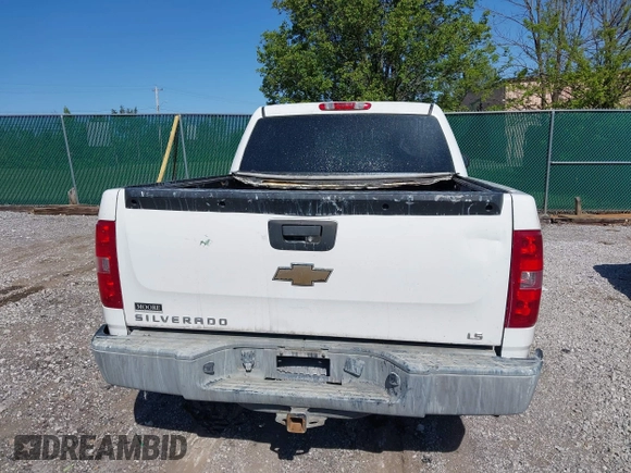 2009 Chevrolet Silverado 1500 LS with VIN 3GCEC13CX9G256034, listed as a IAAI auction lot 42049573 with 223,057 mi miles. Bid and sale history available at carsss.com. Image 16.