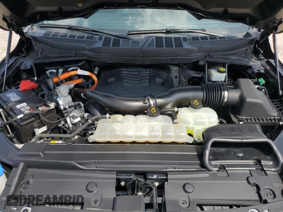 2021 Ford F-150 XL with VIN 1FTFW1CD1MFB42051, listed as a Copart auction lot 51463965 with 46,549 mi miles and Salvage title. Bid and sale history available at DreamBid. Image 11.