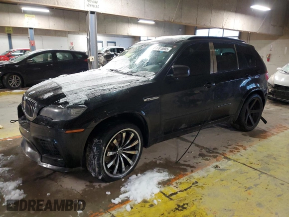 2010 BMW X5 M with VIN 5YMGY0C58ALK25854, listed as a Copart auction lot 87815685 with 0 mi miles and Salvage Title. Bid and sale history available at carsss.com. Image 1.