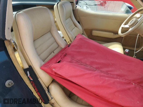 1979 Chevrolet Corvette with VIN 1Z8749S431929, listed as a Copart auction lot 75316594 with 84,098 mi miles and Salvage title. Bid and sale history available at DreamBid. Image 10.
