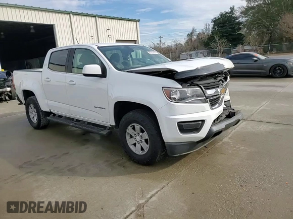 2017 Chevrolet Colorado 2WD WT with VIN 1GCGSBEN7H1307826, listed as a Copart auction lot 84059904 with 100,455 mi miles and Salvage title. Bid and sale history available at DreamBid. Image 10.