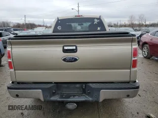 2010 Ford F-150 XL with VIN 1FTFX1CV3AFD17207, listed as a Copart auction lot 44138395 with 122,570 mi miles and Salvage Title. Bid and sale history available at carsss.com. Image 10.