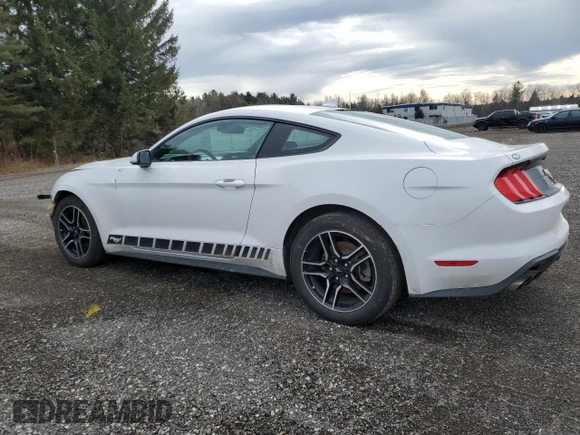 2021 Ford Mustang EcoBoost with VIN 1FA6P8TH7M5116896, listed as a Copart auction lot 38178004 with 36,035 mi miles and Salvage title. Bid and sale history available at DreamBid. Image 2.
