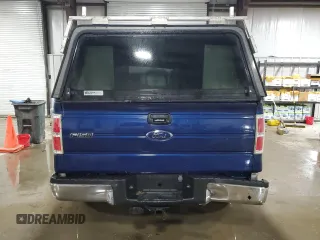 2009 Ford F-150 with VIN 1FTPF14V39KB74154, listed as a Copart auction lot 55580845 with 123,487 mi miles and Salvage title. Bid and sale history available at DreamBid. Image 6.