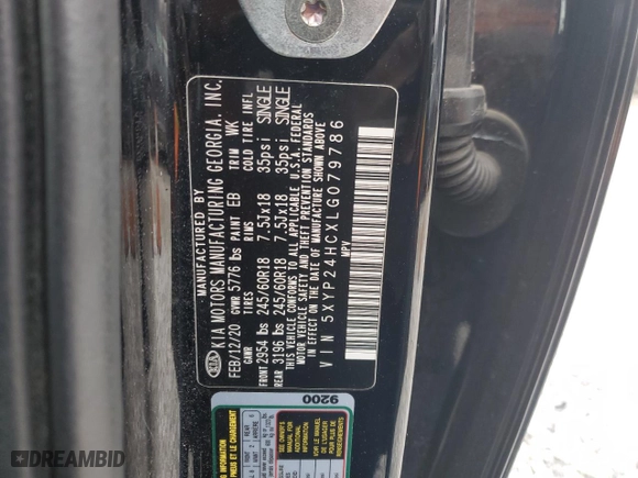 2020 Kia Telluride LX with VIN 5XYP24HCXLG079786, listed as a Copart auction lot 43041695 with 112,307 mi miles and Salvage Title. Bid and sale history available at carsss.com. Image 13.