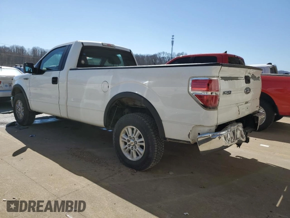 2013 Ford F-150 XL with VIN 1FTPF1CF5DKD70051, listed as a Copart auction lot 48748135 with 204,755 mi miles and Salvage title. Bid and sale history available at DreamBid. Image 2.
