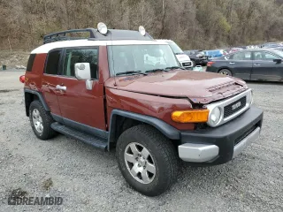 2008 Toyota FJ Cruiser with VIN JTEBU11F68K045560, listed as a Copart auction lot 53239895 with 235,044 mi miles and Salvage Title. Bid and sale history available at carsss.com. Image 4.