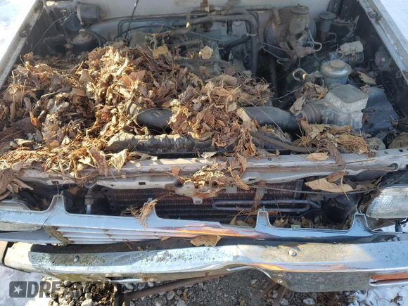 1984 Toyota Pickup z VIN JT4RN56S0E0003177, wystawiony jako Copart lot #48304385 z przebiegiem 117 297 mil mil oraz Szkoda całkowita • Salvage title. Historia ofert i sprzedaży dostępna na DreamBid. Obrazek 11.