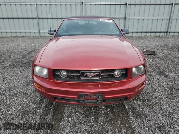 2006 Ford Mustang Standard with VIN 1ZVFT84N365233868, listed as a Copart auction lot 79687174 with 210,062 mi miles and Clean Title. Bid and sale history available at carsss.com. Image 5.
