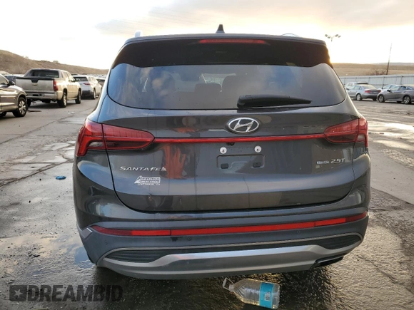 2021 Hyundai Santa Fe Limited with VIN 5NMS4DAL0MH315822, listed as a Copart auction lot 87260094 with 30,253 mi miles and Salvage Title. Bid and sale history available at carsss.com. Image 6.