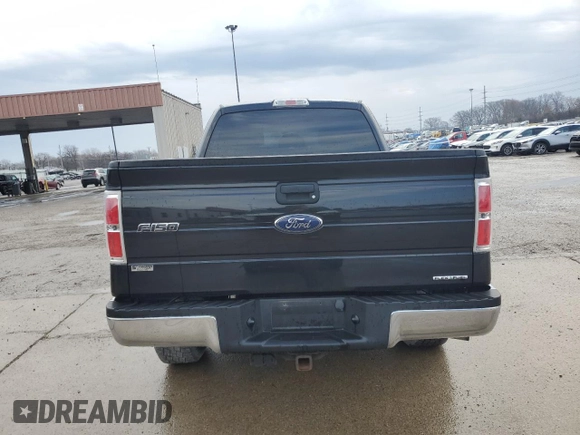 2011 Ford F-150 XL with VIN 1FTEX1EM7BFA25349, listed as a Copart auction lot 50865165 with 140,824 mi miles and Salvage title. Bid and sale history available at DreamBid. Image 6.