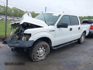 2013 Ford F-150 XL with VIN 1FTFW1CF1DKE95110, listed as a IAAI auction lot 41953854 with 1 mi miles. Bid and sale history available at carsss.com. Image 2.