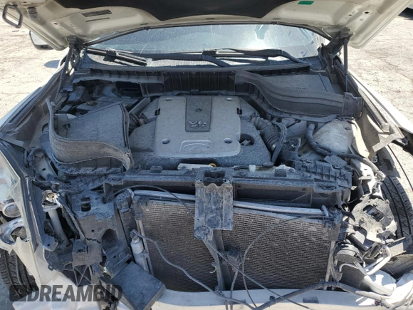 2010 Infiniti EX Journey with VIN JN1AJ0HR9AM753902, listed as a Copart auction lot 60212065 with 170,481 mi miles and Salvage title. Bid and sale history available at DreamBid. Image 12.