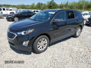 2019 Chevrolet Equinox LS with VIN 2GNAXHEV4K6255075, listed as a Copart auction lot 52241915 with 79,438 mi miles and Salvage Title. Bid and sale history available at DreamBid. Image 1.