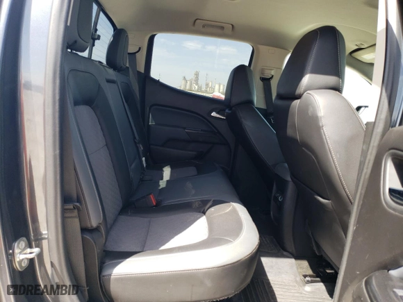2016 Chevrolet Colorado 4WD Z71 with VIN 1GCGTDE36G1333971, listed as a Copart auction lot 48123525 with 193,565 mi miles and Salvage Title. Bid and sale history available at carsss.com. Image 10.