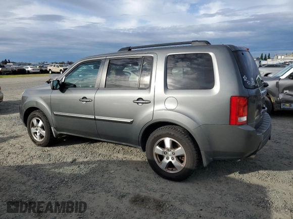 2009 Honda Pilot EX-L with VIN 5FNYF48609B016800, listed as a Copart auction lot 48829835 with 233,894 mi miles and Clean Title. Bid and sale history available at carsss.com. Image 2.