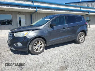 2017 Ford Escape SE with VIN 1FMCU0G95HUA28589, listed as a Copart auction lot 48120545 with 199,424 mi miles and Salvage Title. Bid and sale history available at carsss.com. Image 1.