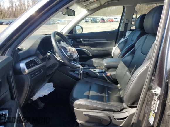 2020 Kia Telluride LX with VIN 5XYP2DHC8LG046141, listed as a Copart auction lot 54061695 with 89,781 mi miles and Salvage Title. Bid and sale history available at carsss.com. Image 7.