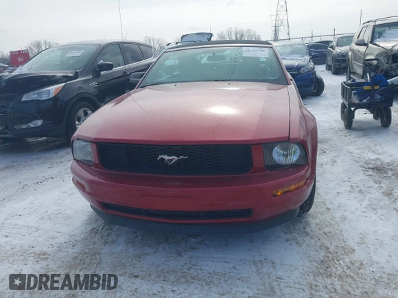 2008 Ford Mustang Deluxe with VIN 1ZVHT84NX85170490, listed as a IAAI auction lot 41608708 with 153,081 mi miles and . Bid and sale history available at carsss.com. Image 12.