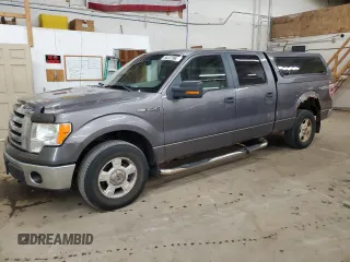 2009 Ford F-150 XL with VIN 1FTPW14V19FA73431, listed as a Copart auction lot 54222965 with 310,958 mi miles and Clean Title. Bid and sale history available at carsss.com. Image 1.
