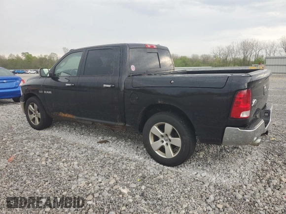2009 Dodge 1500 SLT with VIN 1D3HV13T89J515052, listed as a Copart auction lot 55514755 with 258,712 mi miles and Clean Title. Bid and sale history available at carsss.com. Image 2.