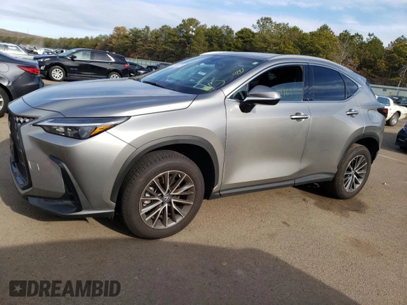 2022 Lexus NX with VIN 2T2AGCEZ4NC009107, listed as a Copart auction lot 36299123 with 2,163 mi miles. Bid and sale history available at carsss.com. Image 1.