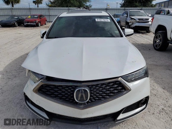 2019 Acura TLX w/A-Spec Pkg with VIN 19UUB1F61KA006305, listed as a Copart auction lot 81077674 with 82,763 mi miles and Salvage Title. Bid and sale history available at carsss.com. Image 5.